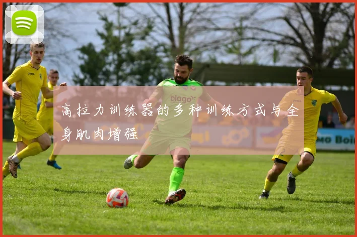 高拉力训练器的多种训练方式与全身肌肉增强