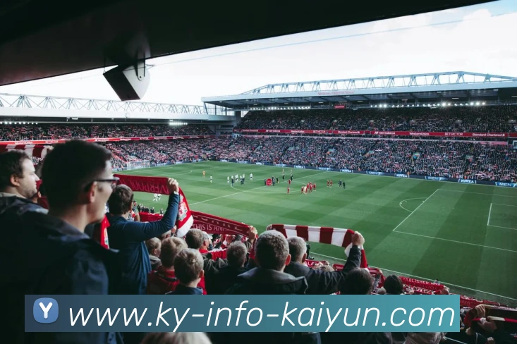 开云平台生态图